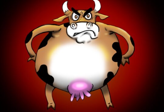 Why you should watch animations as an adult